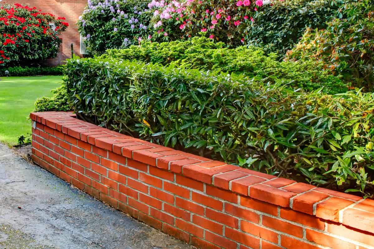 Garden Brick Border